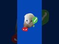 Call Cat Meme | Blue Screen #cat #meow #hachimi #meme #fyp