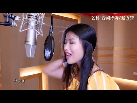 《芒种》音阙诗听/赵方婧（录音室版） 二十四节气系列歌曲 一想到你我就~《Grain in Ear 》[The 24 solar terms]