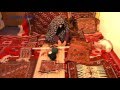 Quchan mattor - Persiska mattor