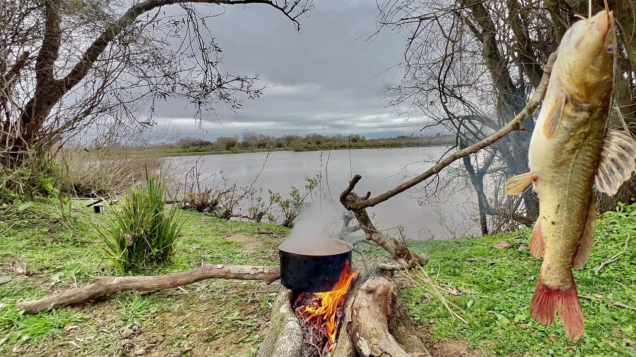 TARARIRA y BAGRE GIGANTES. “Pesca,Campo,Guiso y Naturaleza” INCREÍBLE LUGAR