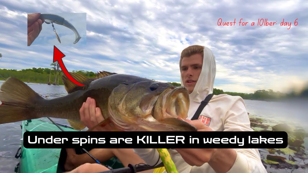 BIG Bass LOVE Big Flashy Baits