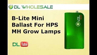 B.Lite 1000W Mini Ballast DL WHOLESALE screenshot 5