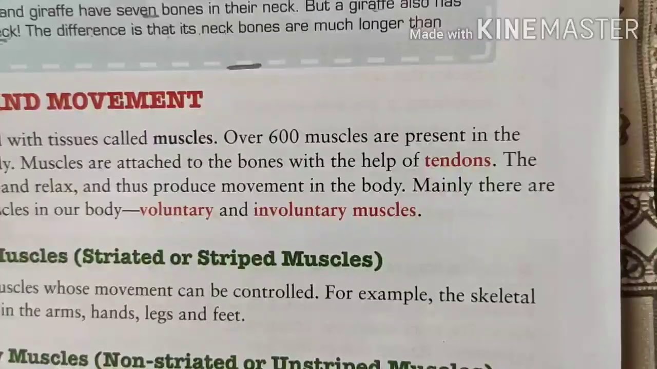 Grade 5/Science/The Skeletal & Muscular Systems/July 10 - YouTube