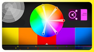 Designing with Intention: Exploring Color Wheels and Adobe Color