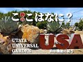 【噂の大規模ドライガーデン】巨大アガベだらけのこの施設の全容を解明する！