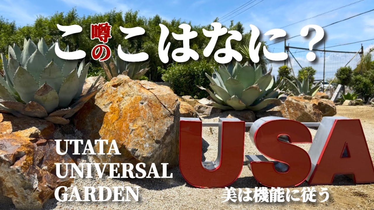 The Talked-About Large-Scale Dry Garden] Unveiling the Full Extent