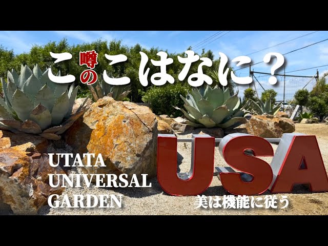 The Talked-About Large-Scale Dry Garden] Unveiling the Full Extent