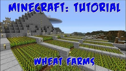 Minecraft - Tutorial - Semi-Automated Wheat Farms