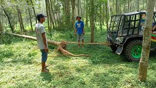 Offroader Cap Kadal Terhalang Pohon Tidur Offroad Extreme