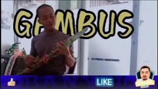 Gambus || salah satu ciri khas musik suku bugis || Sulsel #shorts