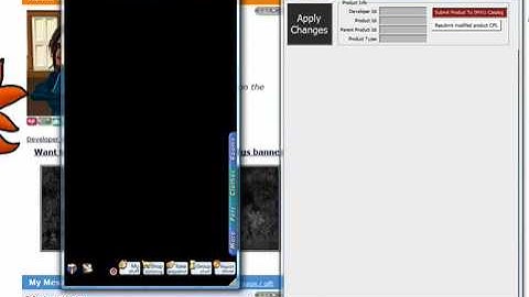 Previewer Input Output Windows