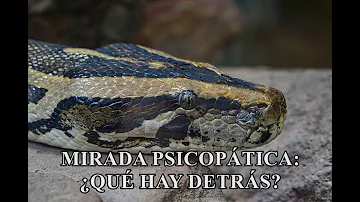 ¿Qué son los ojos de psicópata?