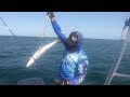 How to catch king mackerel jigging for king mackerel  himalayan anglers