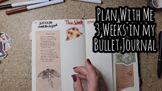 Plan With Me for the Next Three Weeks in my Bullet Journal