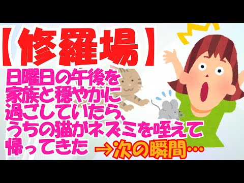 【２ｃｈ切り抜き】日曜日の午後を家族と穏やかに過ごしていたら、うちの猫がネズミを咥えて帰ってきた瞬間、修羅場となった