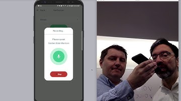 IDVoice Voice Biometric + Anti-spoofing Demo - ID R&D