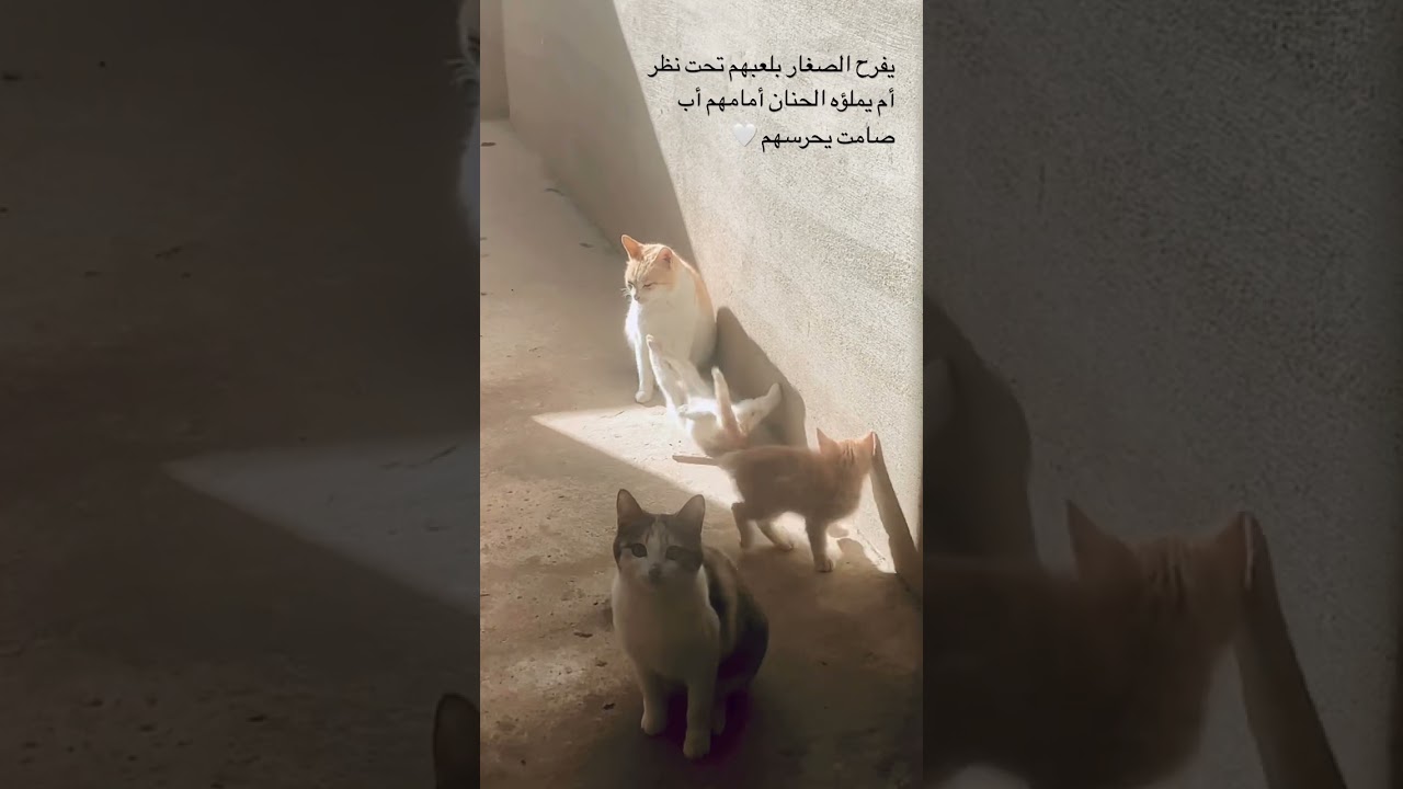 Your support makes us happy ♥️ 