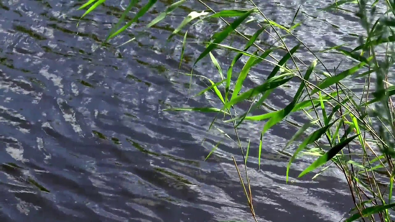 Natural Time lapse stock video clips [NCVHD]