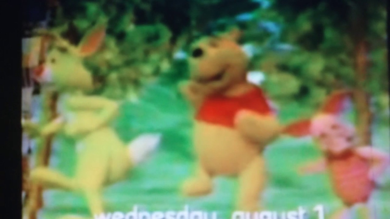 Pooh Friendship Day Promo (2001) YouTube