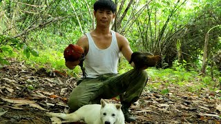 Download Lagu Trapping wild chickens, one lucky day, CEO left the city for the forest MP3 Download Lagu Trapping wild chickens, one lucky day, CEO left the city for the forest MP3