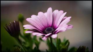 2502 4 Music Little Mix