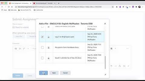 Submitting an assignment in Brightspace