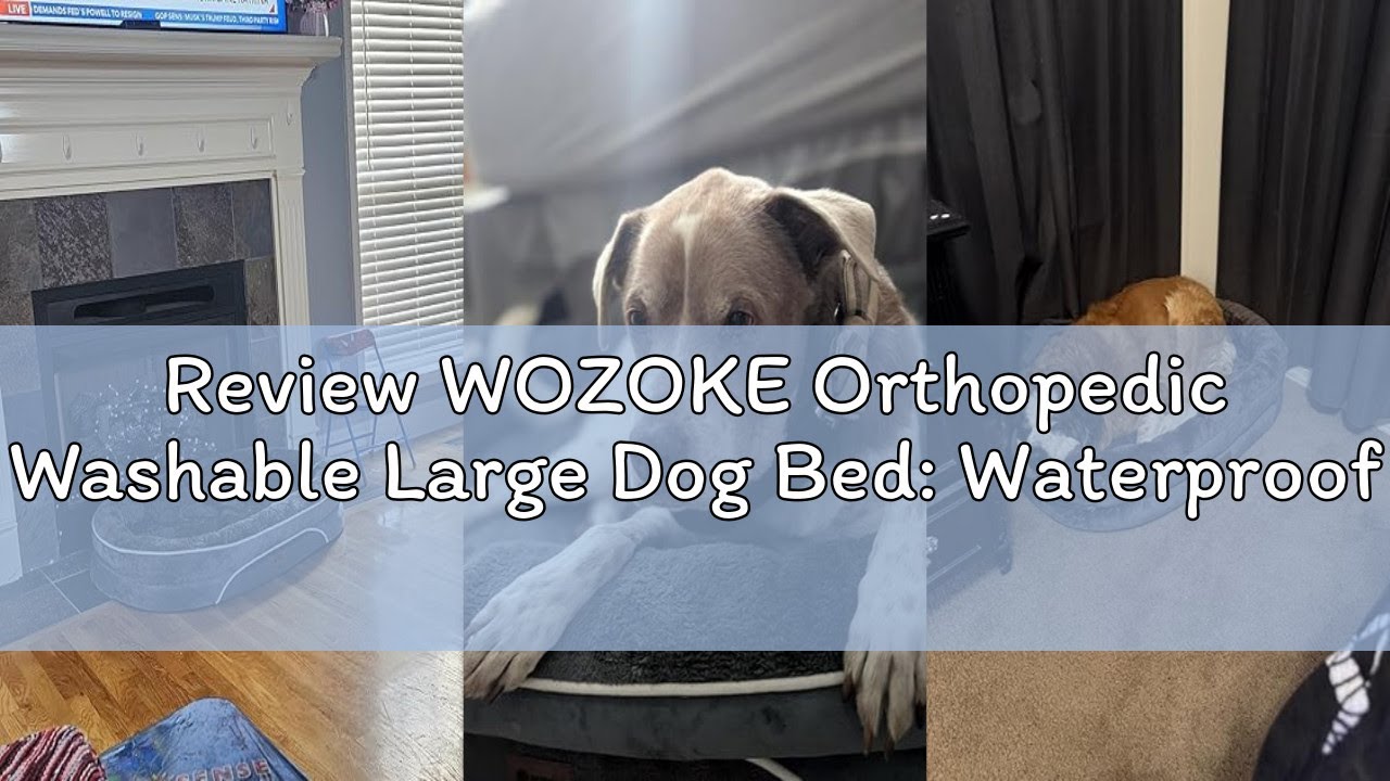 Review WOZOKE Orthopedic Washable Large Dog Bed: Waterproof Pet Bed with Bolsters - Removable Washab