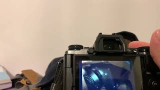 Olympus Em5 mkii evf switch problem