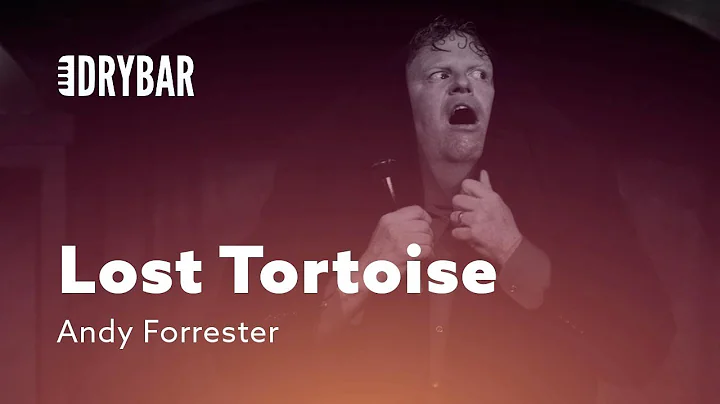 Lost Tortoise. Andy Forrester