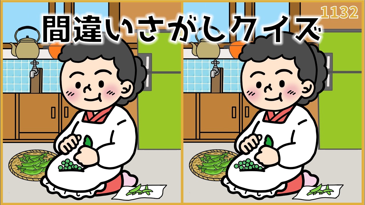 【間違い探しクイズ】脳の老化予防に役立つ!注意力&集中力を鍛えるレク【全3問】#1132