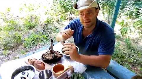 Мята против комаров и о спасательном жилете...