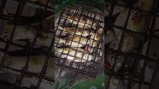 Grilled fish  so delicious #fish #grilled #so #delicious