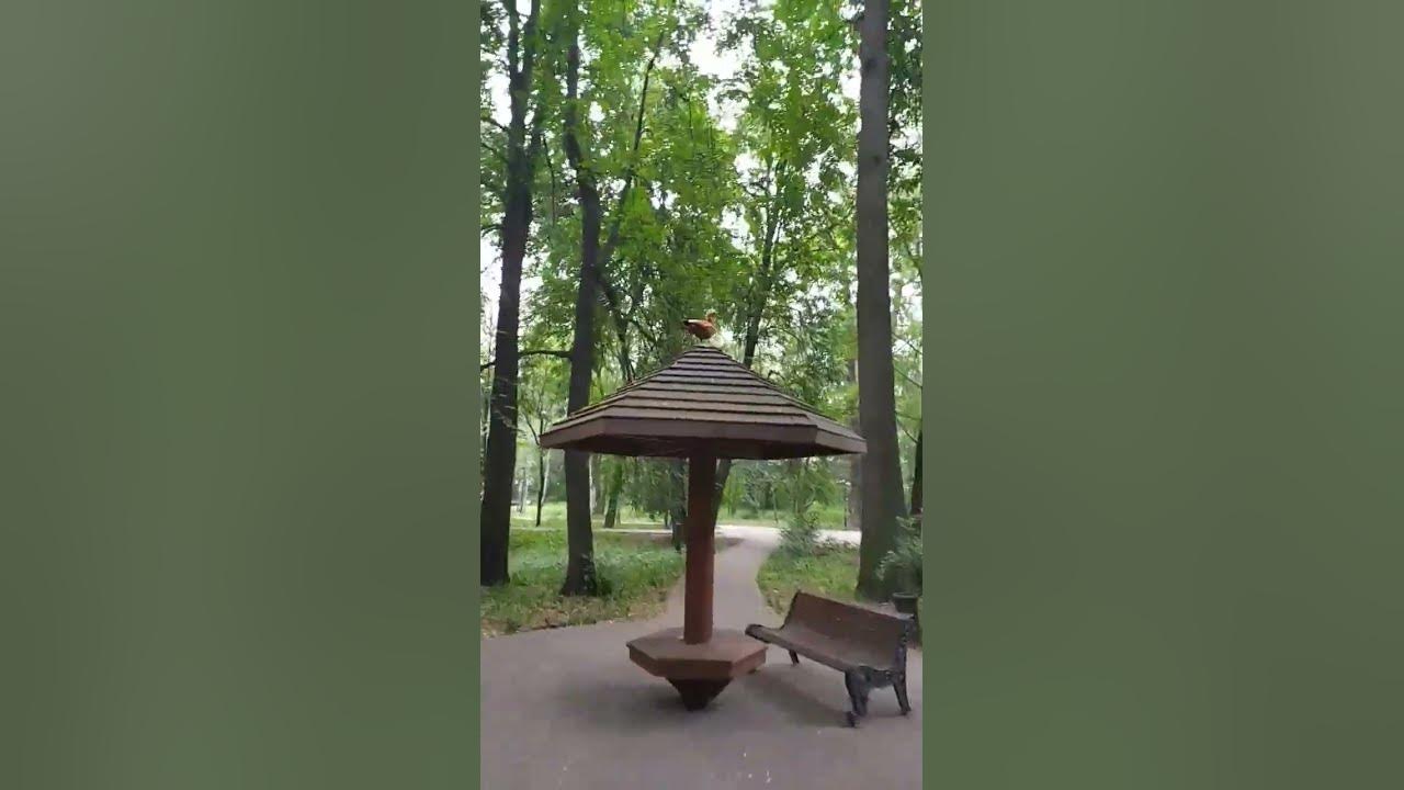 Грачевский парк - YouTube