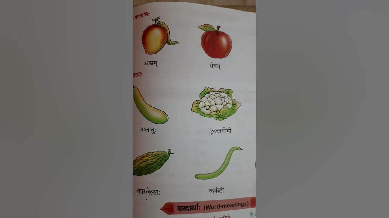 fruits and vegetables name in Sanskritshorts subscribe for Sanskrit and Hindi YouTube