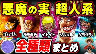 ワンピース 作中で判明している悪魔の実 超人系 パラミシア 全種類まとめ Youtube