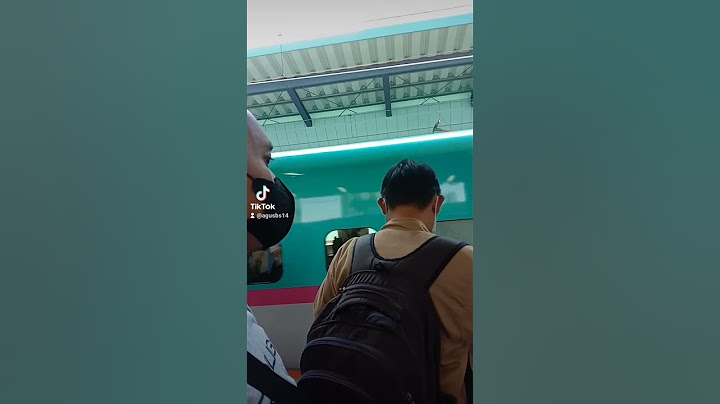 Hari Pertama di Jepang langsung naik Shinkansen