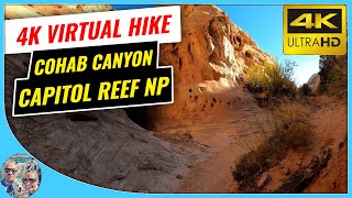 4K Virtual Hike - Cohab Canyon Trail - Capitol Reef National Park