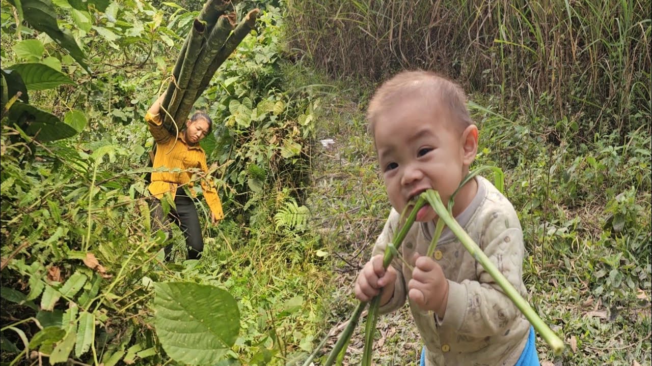 The single mother left her child at home alone and went into the forest ...