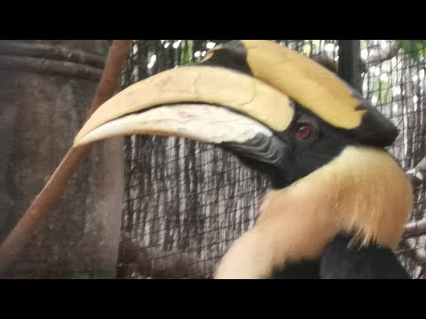 Onze belevenissen vandaag in Avifauna?????????????? in Alphen aan den Rijn