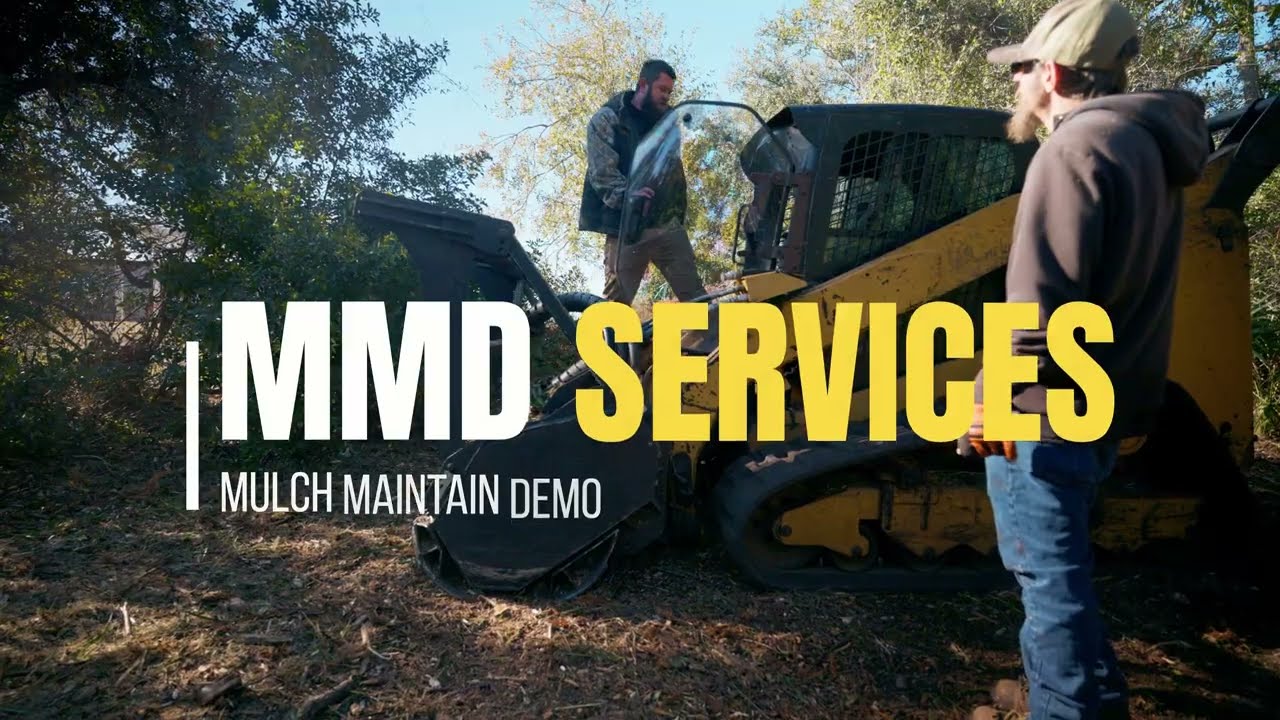 Turning Overgrowth Into Clean Land | MMD Services Forestry Mulching