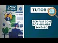 Tutoriel  remplir son formulaire 1447sd  lmnp