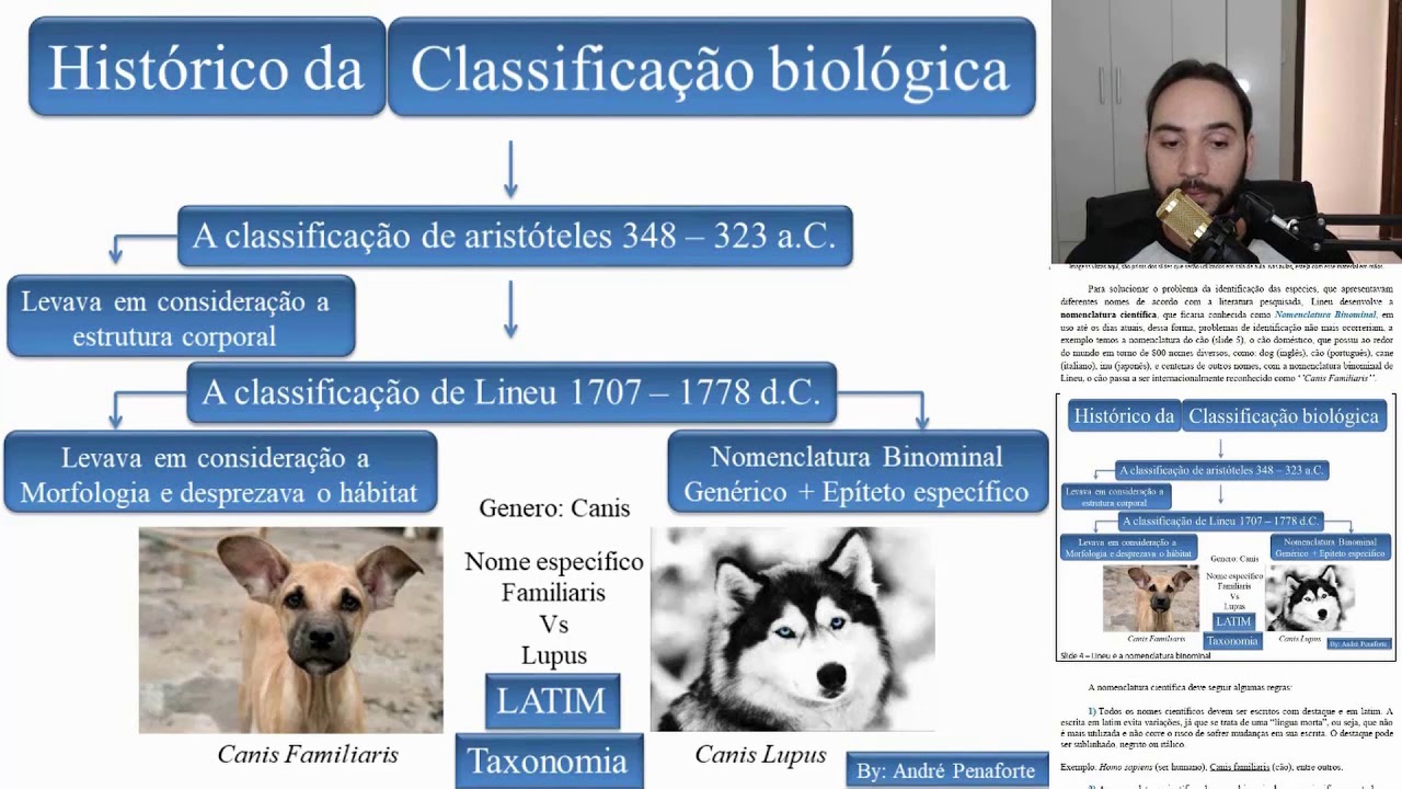 Exemplos De Animalia Com Nomes Cientificos