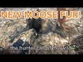 New Moose Fur Discovered in The Hunter Call of the Wild!