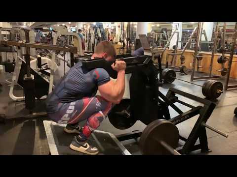 Reverse Hack Squats