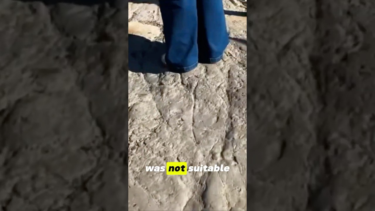 ♿ We Go There Ourselves: Accessibility Isn’t a Checkbox