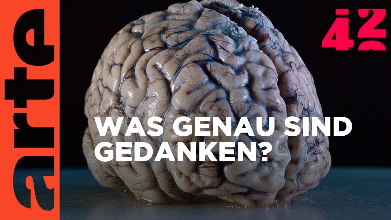 Was kostet ein Verstoß gg §42a in Deutschland? 🇩🇪 (Tragen eines Einhandmessers 🗡️)