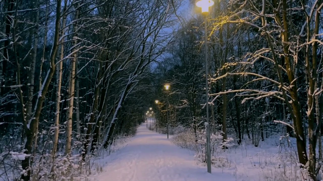 Minute Meditation - Walk in a Snow Aisle