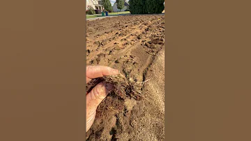 It S Gotta Go Thatch Lawncare 