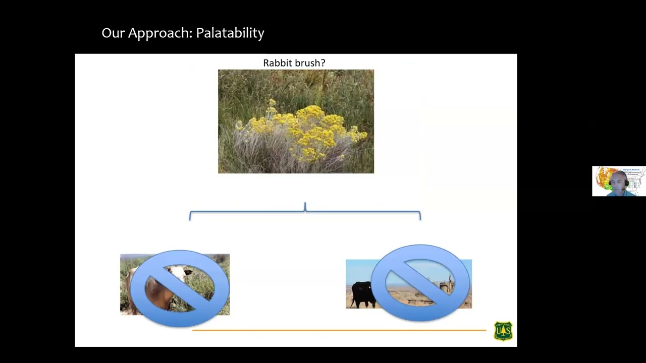 A Modern Approach to Quantifying Ungulate Carrying Capacity