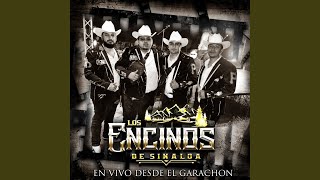 Video thumbnail of "Los Encinos De Sinaloa - De Culiacan (En Vivo)"